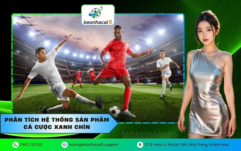 Phân tích hệ thống sản phẩm cá cược xanh chín