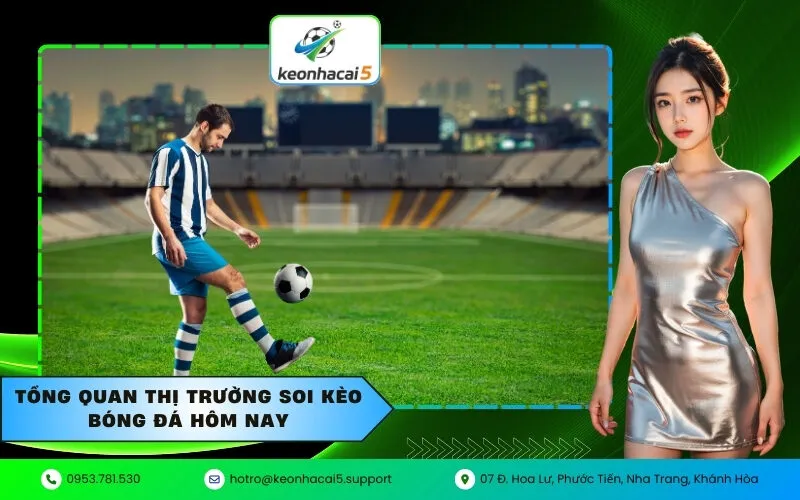 Tổng quan thị trường soi kèo bóng đá hôm nay